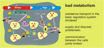 Metabolism-bad