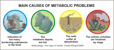 Main causes of metabolic problems